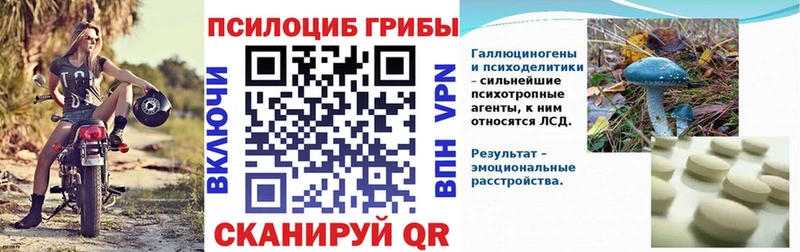 Купить где  Кондрово  Галлюциногенные грибы Psilocybe 